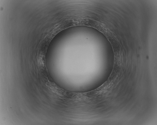 X0000073490770200608070956