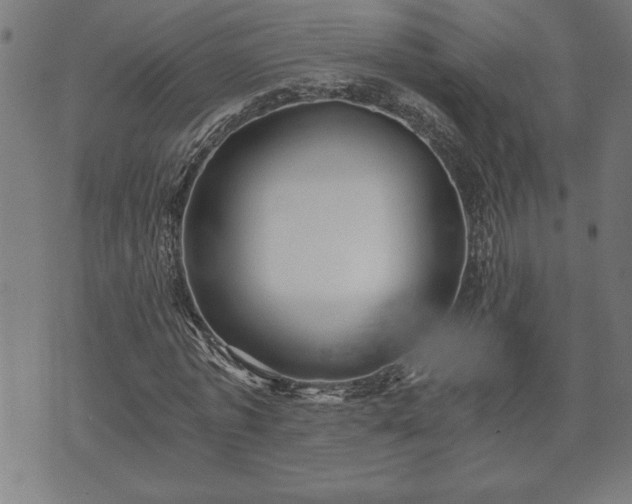X0000073490773200608070956