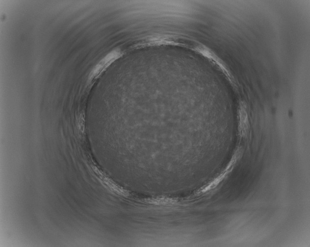 X0000073490785200608070956