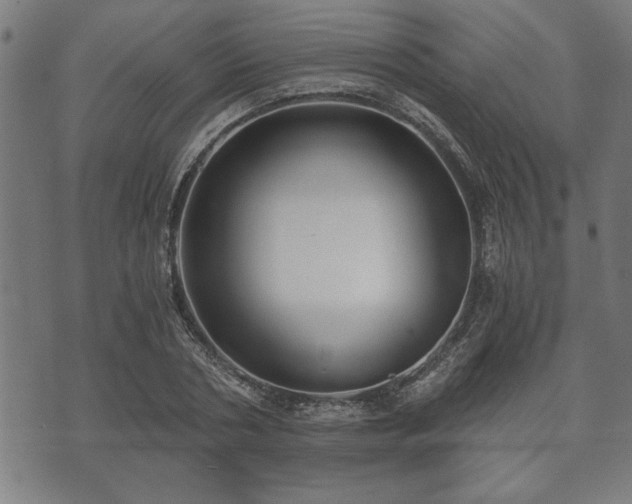 X0000073490786200608070956