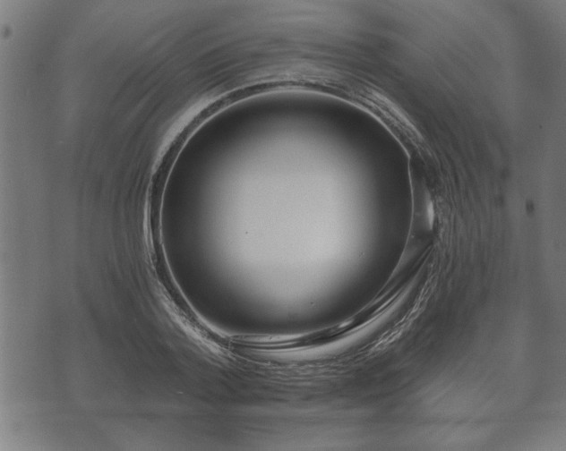 X0000073490788200608070956