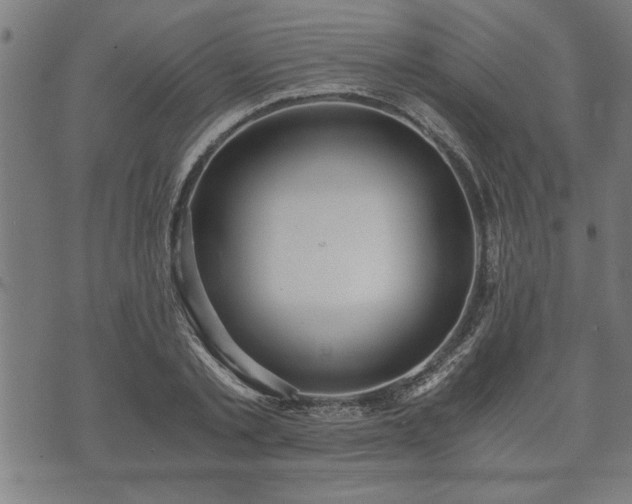 X0000073490789200608070956