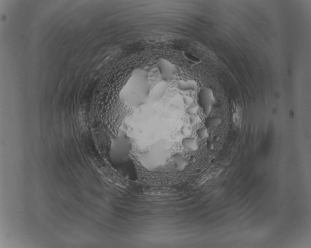 X0000073490819200608070954