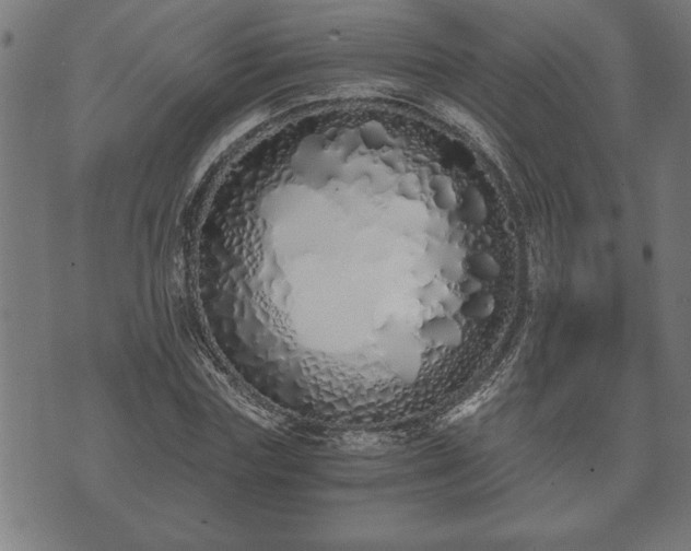 X0000073490827200608070955