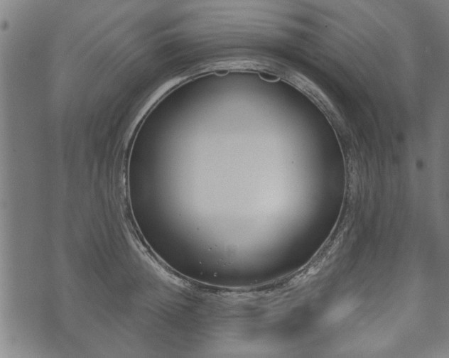 X0000073490852200608070955