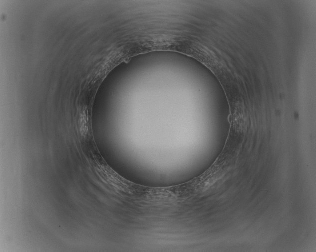 X0000073490866200608070954
