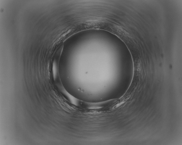 X0000073490868200608070954