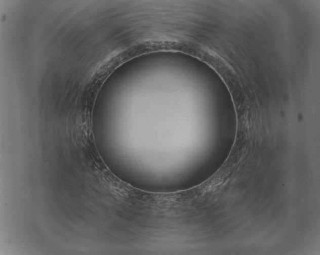 X0000073490870200608070954