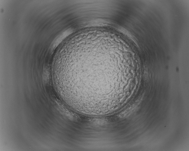 X0000073490874200608070954
