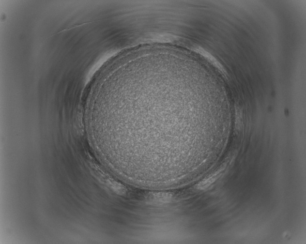 X0000073490878200608070954
