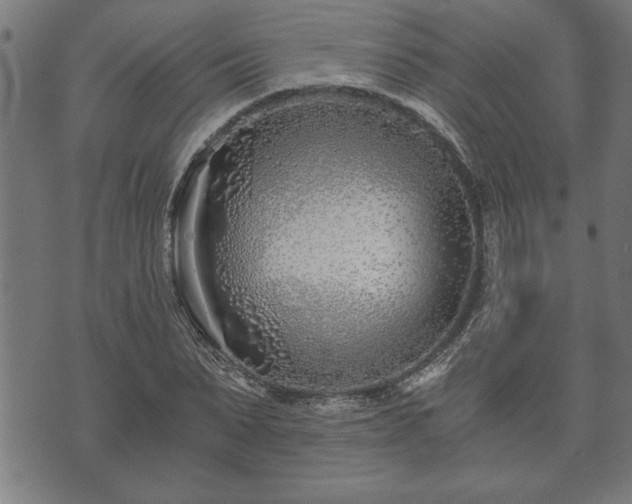 X0000073490879200608070954