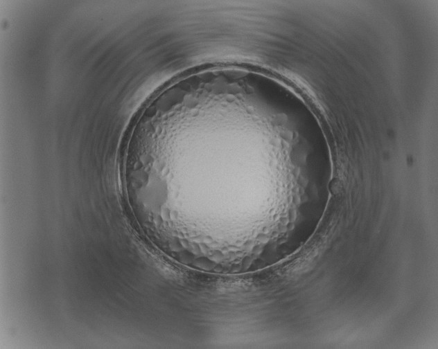 X0000073490887200608070954