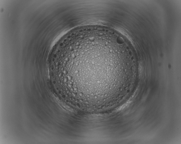 X0000073490925200608070953