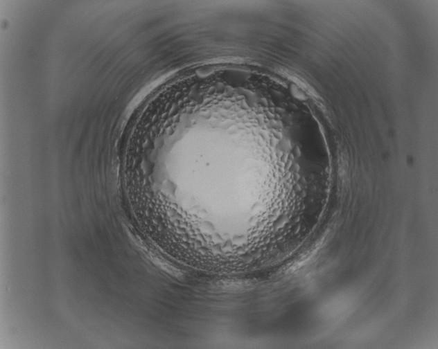 X0000073490933200608070953