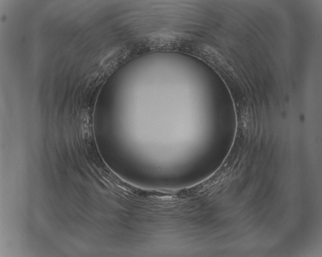 X0000073490964200608070953