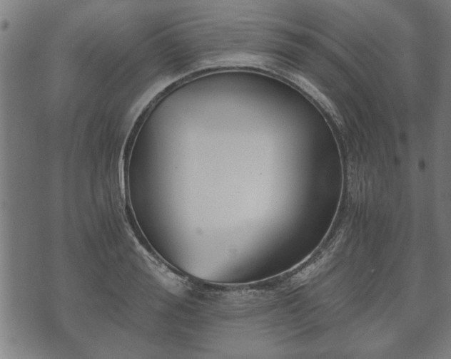 X0000073490988200608070952