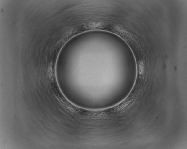 X0000073491011200608070951