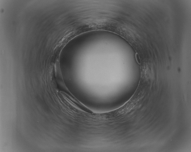 X0000073491012200608070951