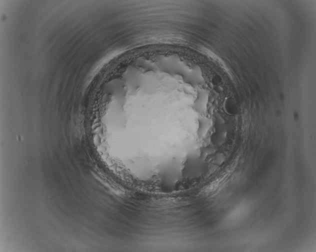 X0000073491019200608070951