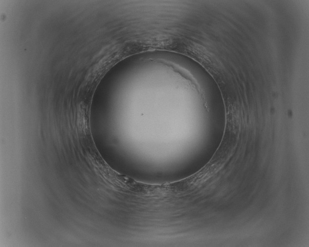 X0000073491058200608070951