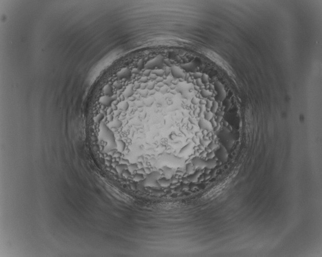X0000073491067200608070951