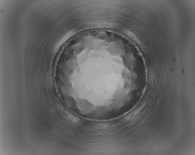 X0000073491071200608070951