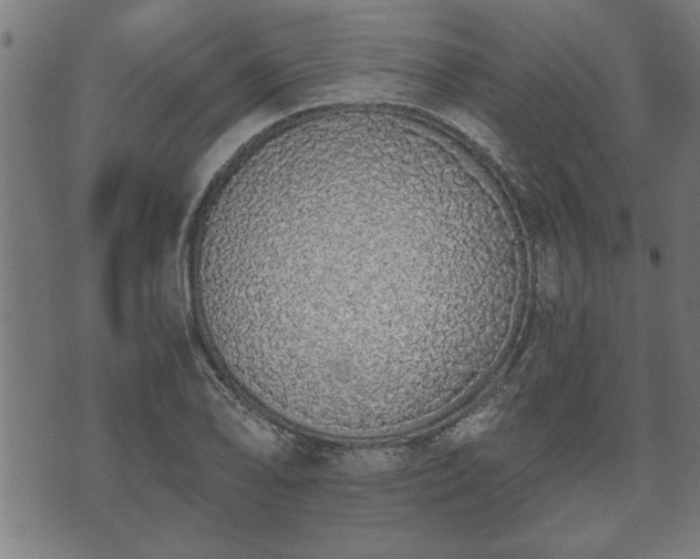 X0000073491078200608070951