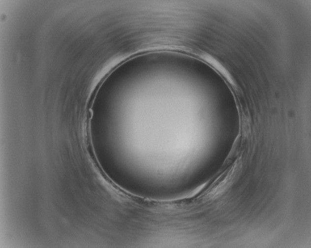 X0000073491101200608070951