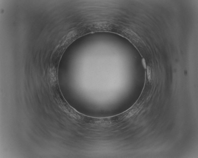 X0000073491107200608070950