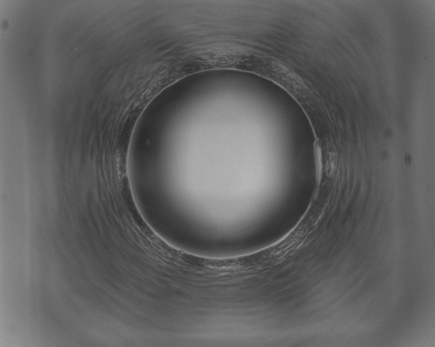 X0000073491108200608070950
