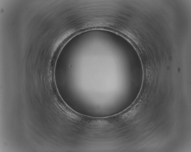 X0000073491119200608070950