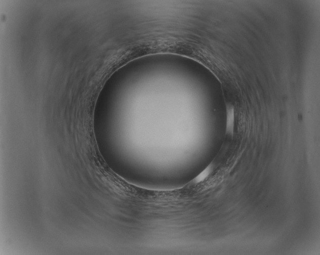 X0000073491153200608070950
