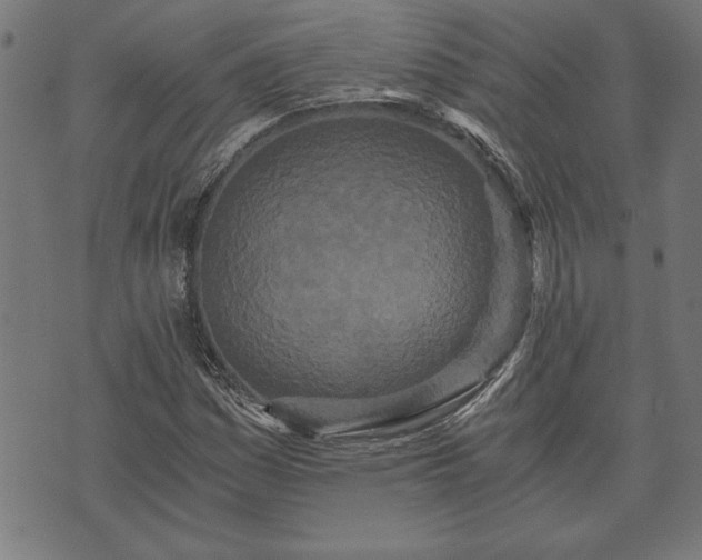 X0000073491161200608070950