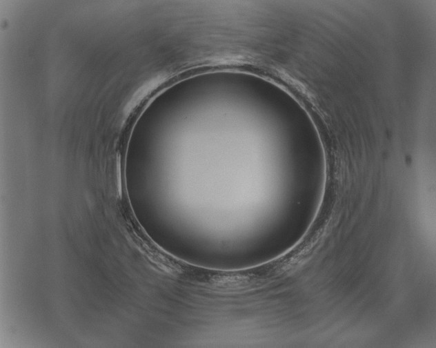 X0000073491171200608070949
