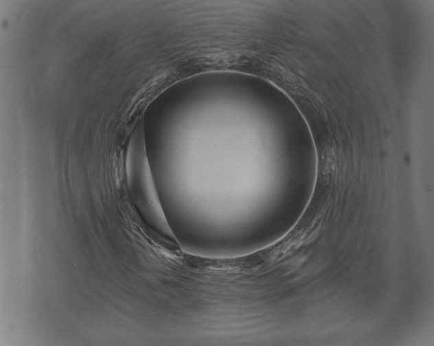 X0000073491202200608070948