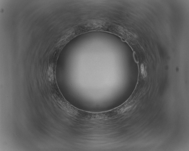 X0000073491203200608070948