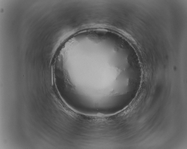 X0000073491223200608070949