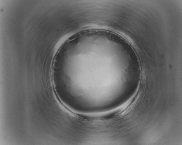 X0000073491247200608070949