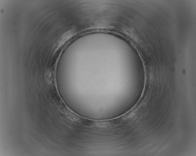 X0000073491258200608070948