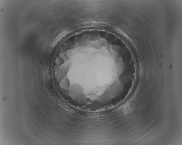 X0000073491259200608070948