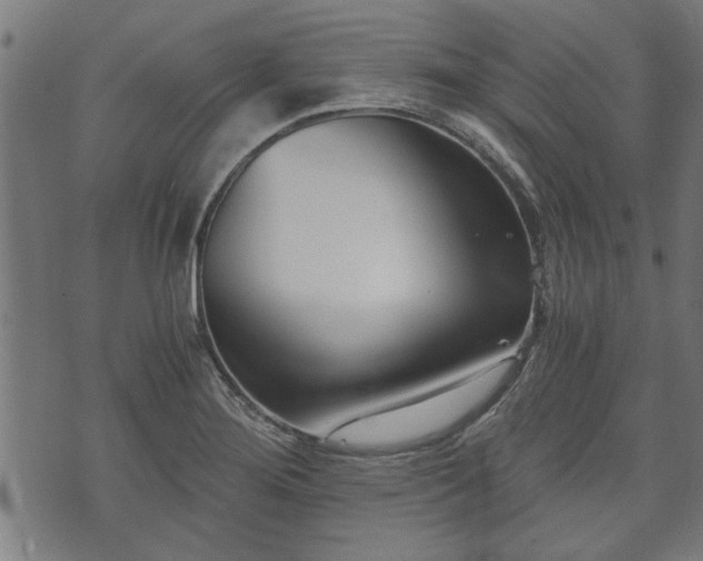 X0000073491276200608070948