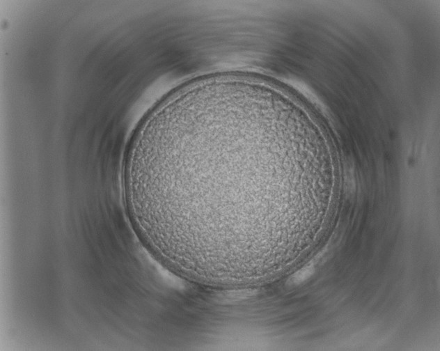 X0000073491294200608070947