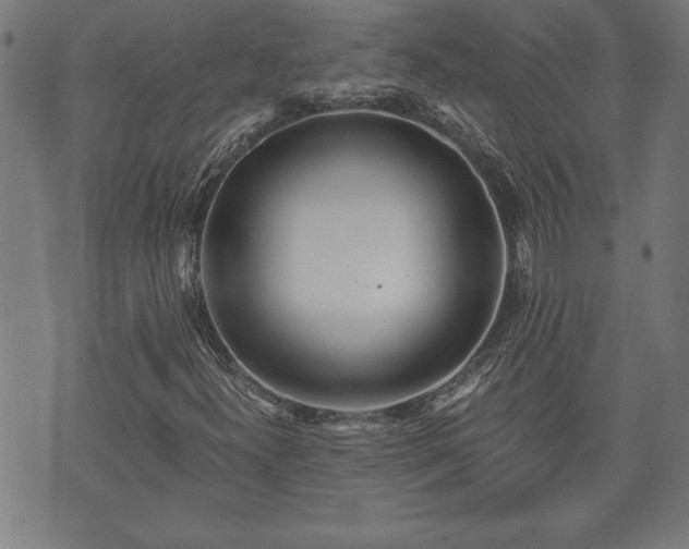 X0000073491300200608070947