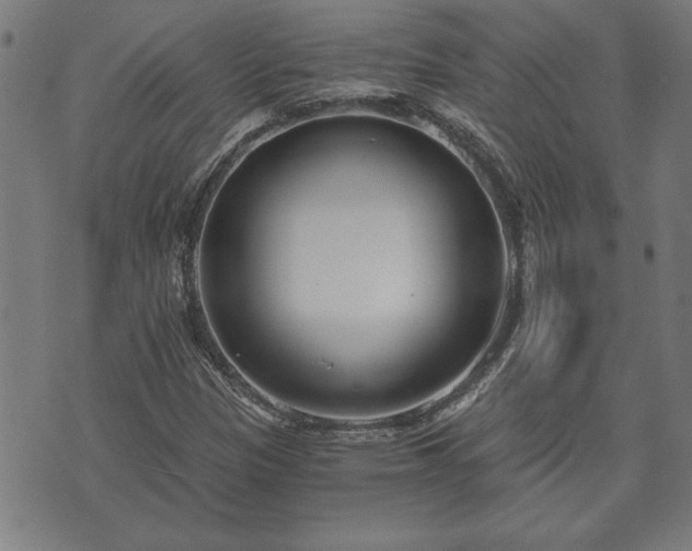 X0000073491305200608070947