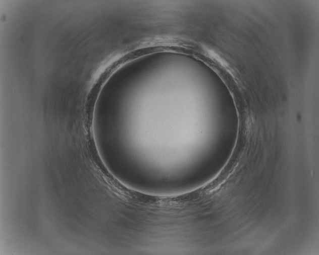 X0000073491312200608070947