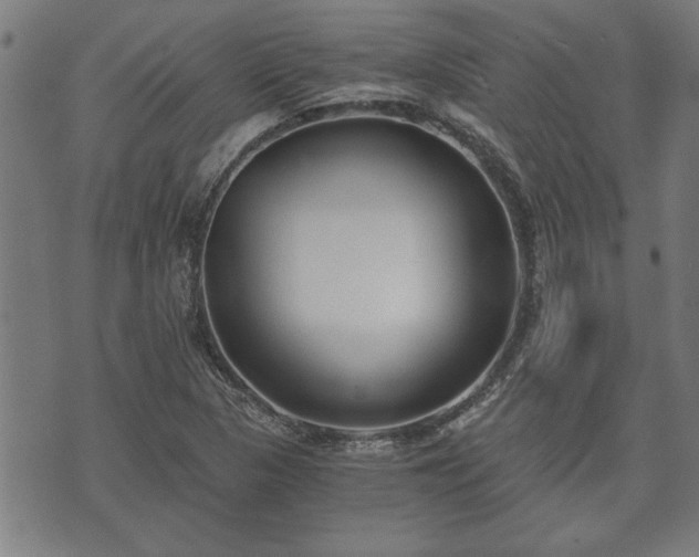 X0000073491313200608070947