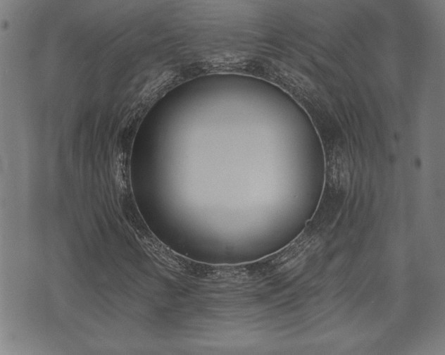X0000073491346200608070947