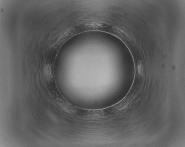 X0000073491347200608070947