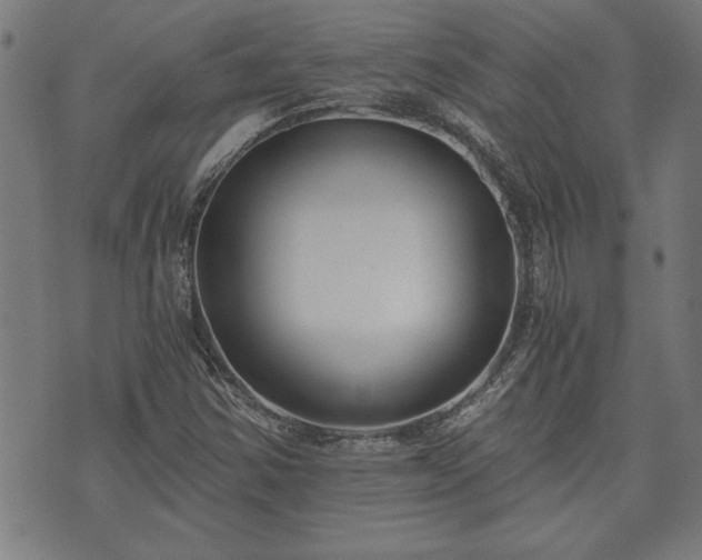 X0000073491354200608070947