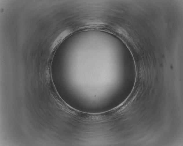 X0000073491362200608070946